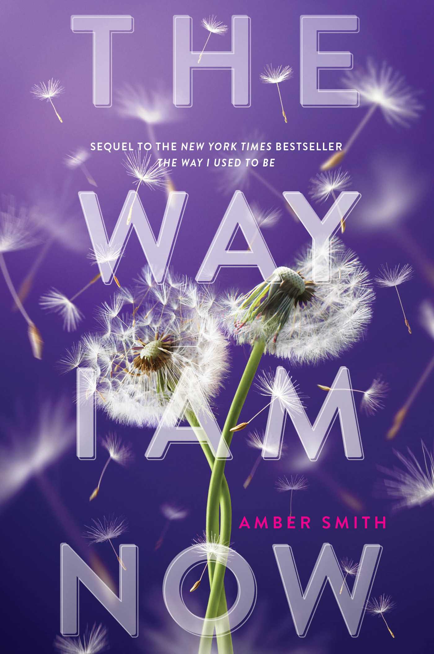 The Way I am Now by Amber Smith