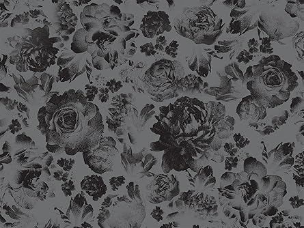 Lights Out Collector's Edition: An Into Darkness Novel by Navessa Allen