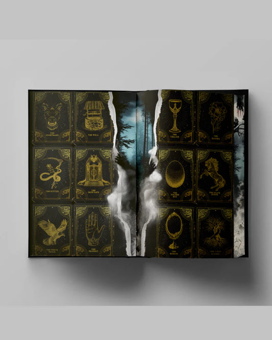 One Dark Window Deluxe Limited Edition (Hardback) by Rachel Gillig (Shepard King, #1)