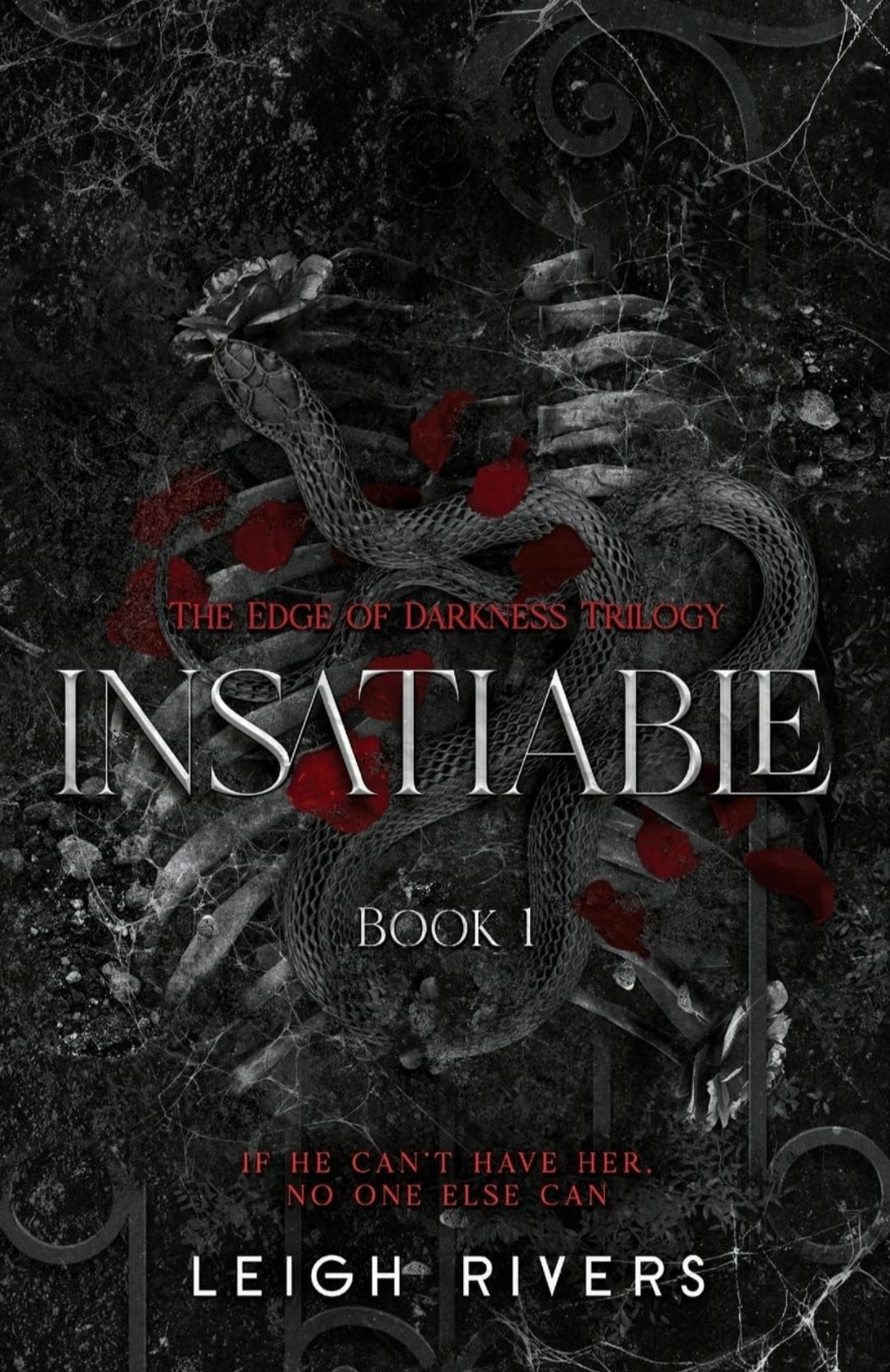 Insatiable (Edge of Darkness, #1) by Leigh Rivers