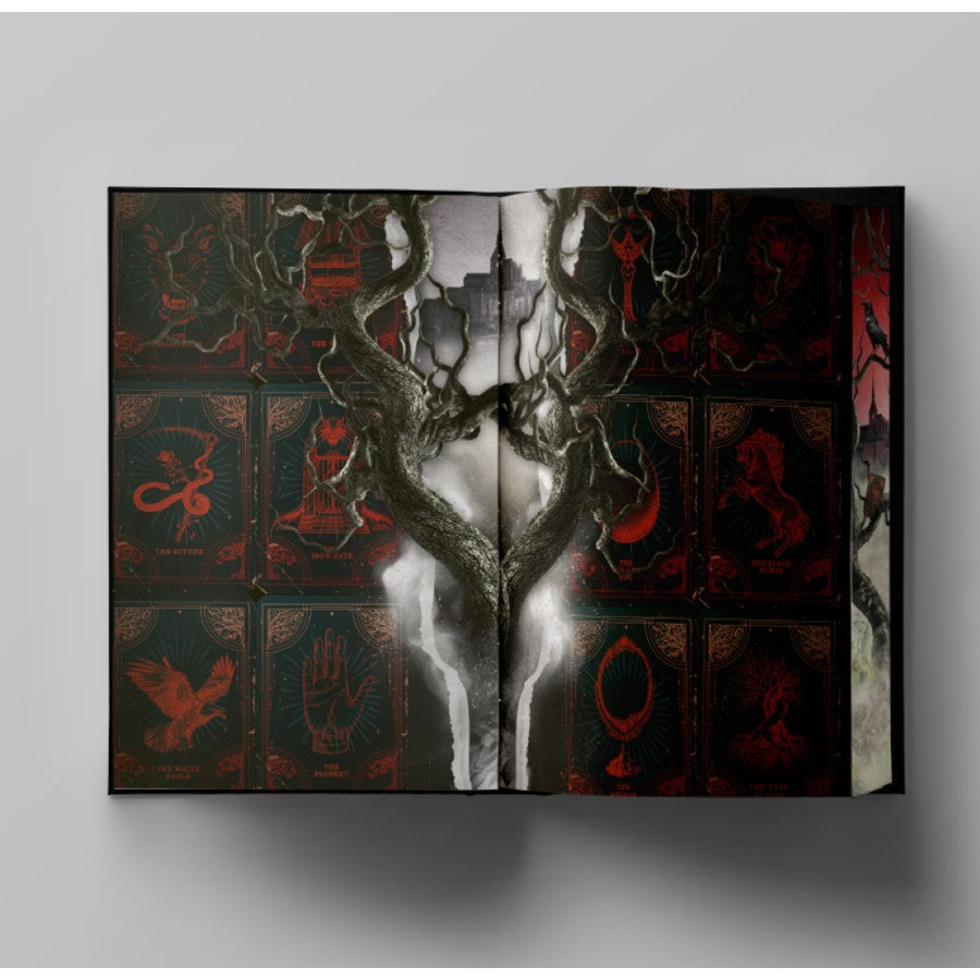 Two Twisted Crowns Deluxe Limited Edition (Hardback) by Rachel Gillig (Shepard King, #2)