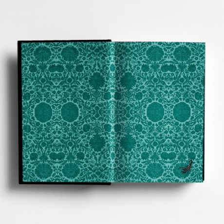 The Familiar by Leigh Bardugo Limited Special Edition