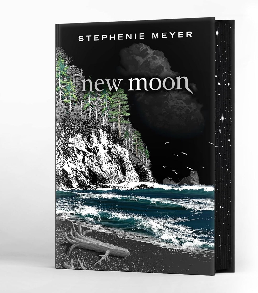 The Twilight Saga Deluxe Edition Hardback Boxed Set | Twilight, New Moon,  Eclipse, Breaking Dawn, Midnight Sun by Stephenie Meyer