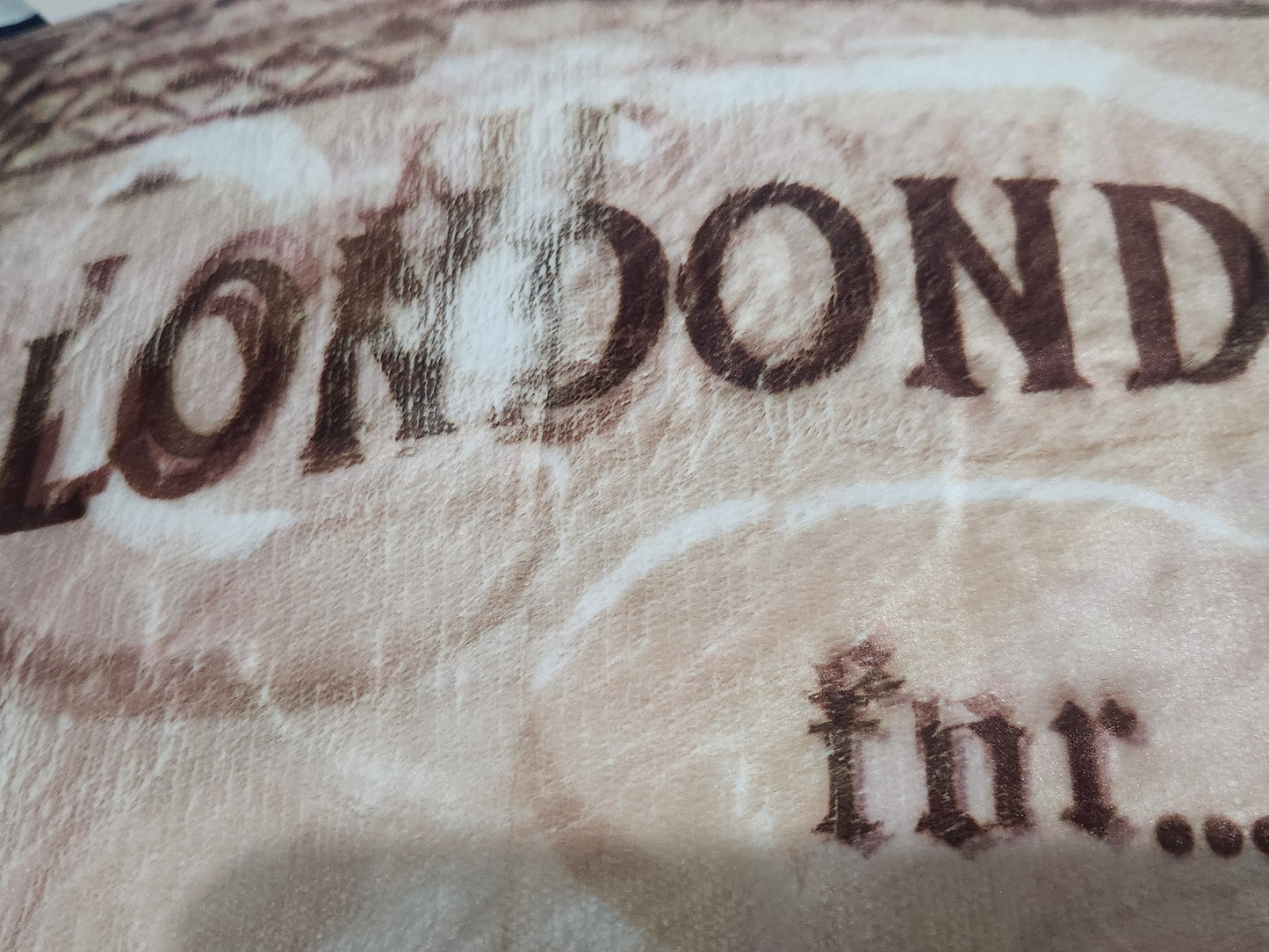 Harry Potter Rug