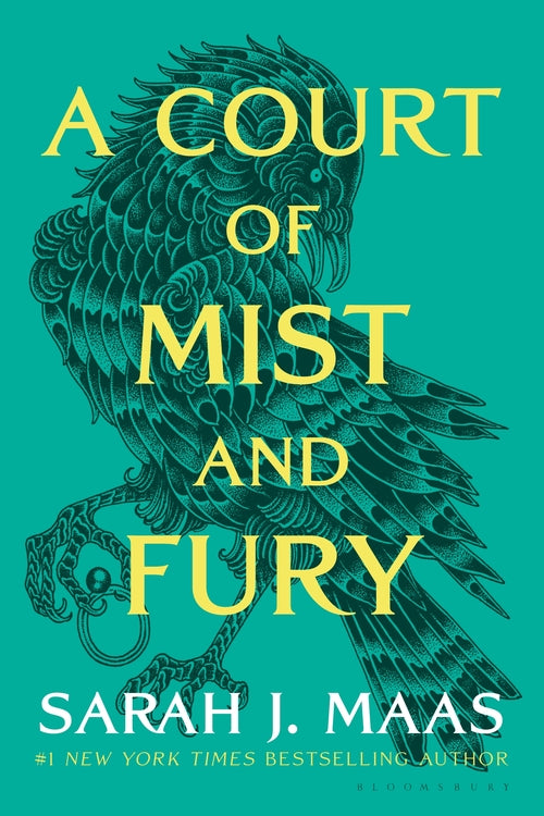 A Court of Mist and Fury by Sarah J Maas