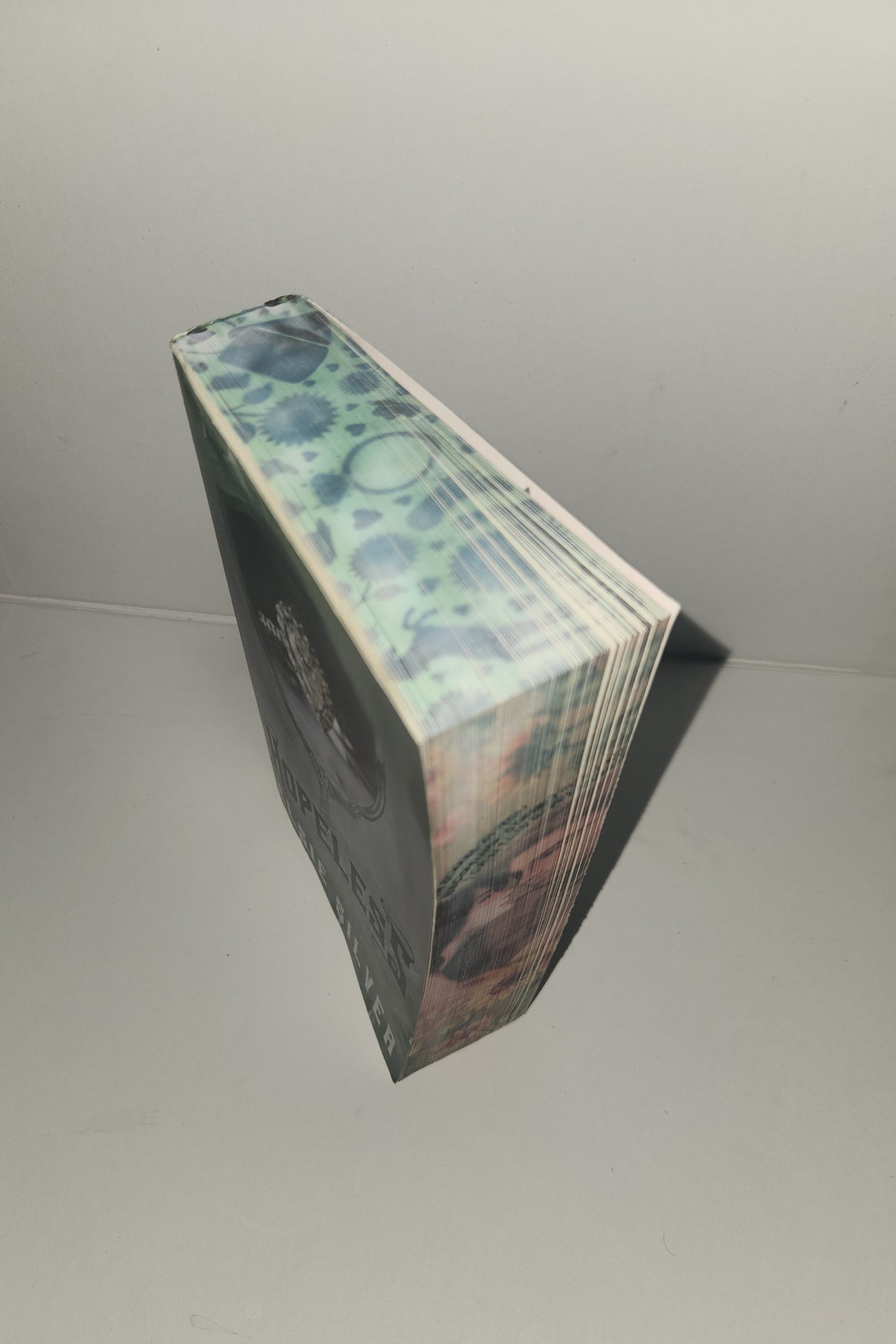 Hopeless by Elsie Silver Special Edition with Painted Edges and Exclusive Character Art