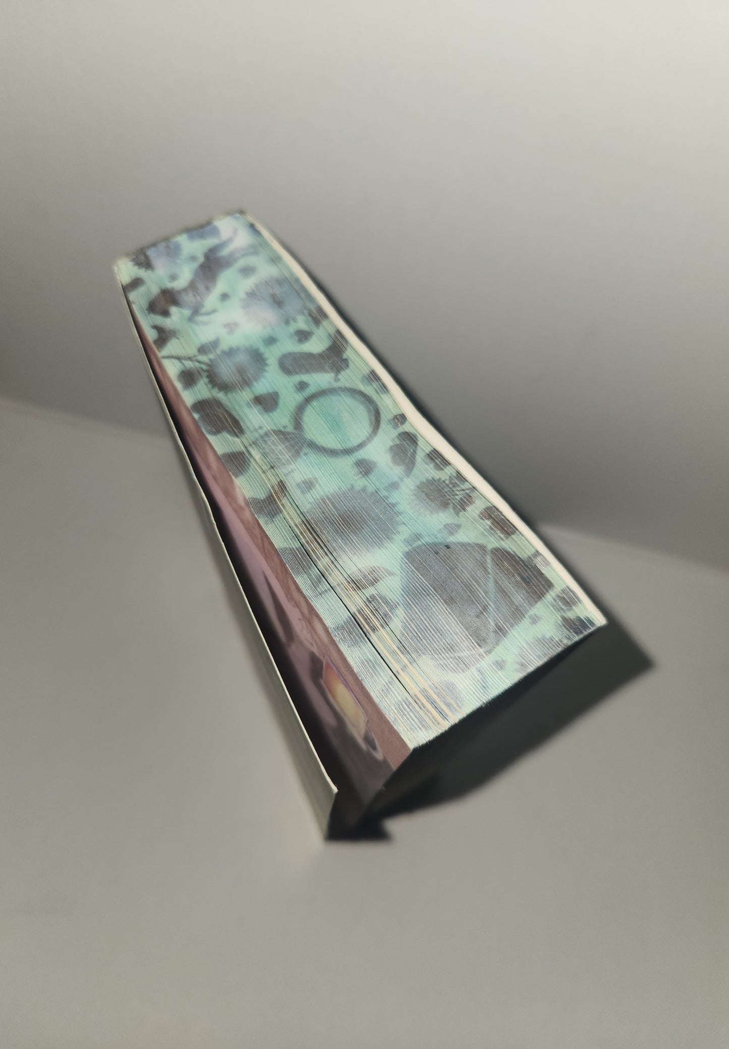 Hopeless by Elsie Silver Special Edition with Painted Edges and Exclusive Character Art